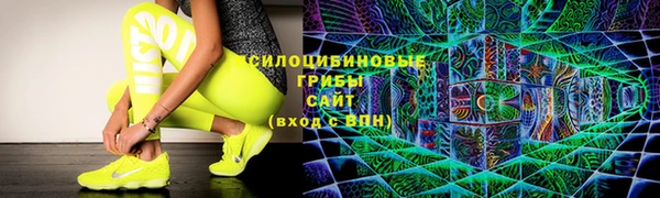 ECSTASY Алексин